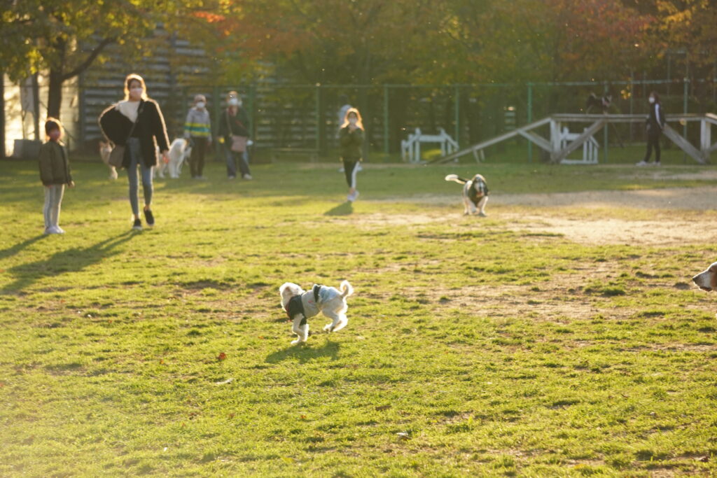 樽川公園 ドッグラン